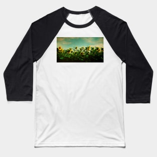 A Field of Sunflowers Baseball T-Shirt